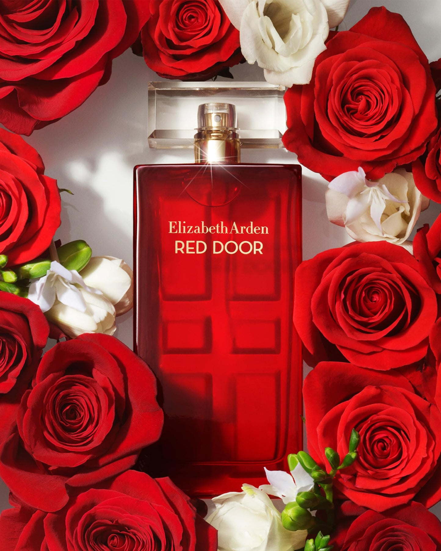 Elizabeth Arden Red Door Perfume for Women EDT 100ml