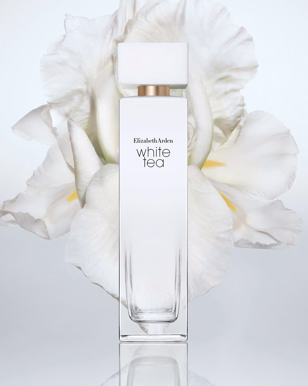 Elizabeth Arden White Tea for Women EDT 100ml