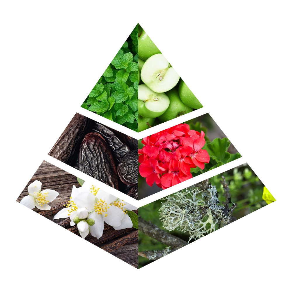 Amber Wood - JC011-KYAMSTORE