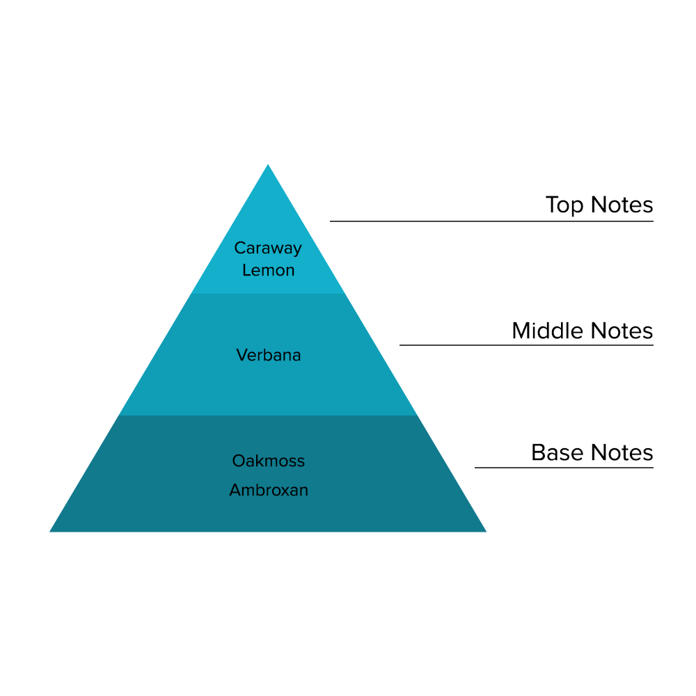 Onootha - MA008-KYAMSTORE