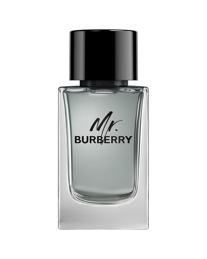 Burberry Mr Burberry for Men EDT 100ml-KYAMSTORE
