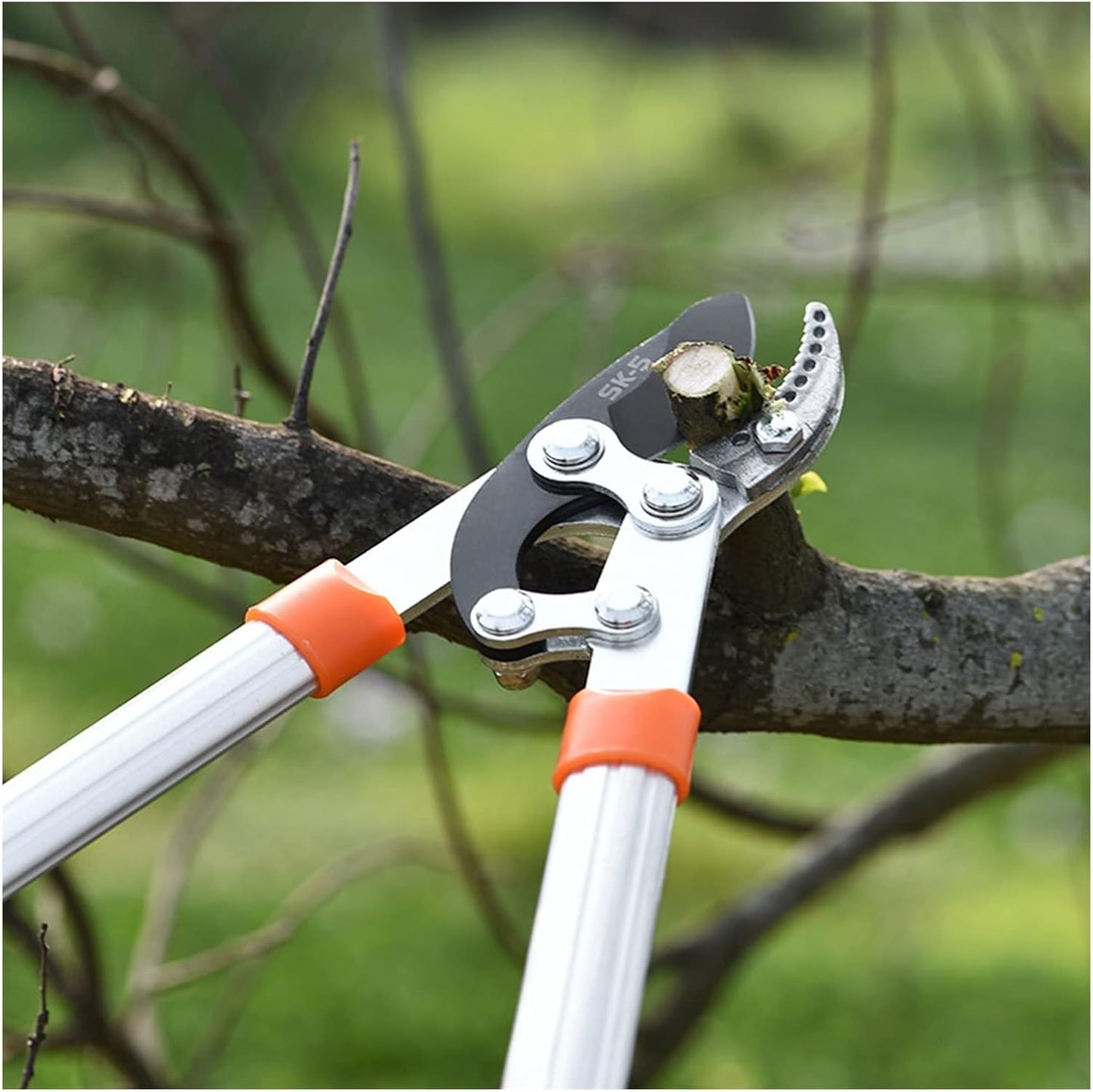 مقص أشجار تلسكوبي عالي التحمل يعمل بالتروس