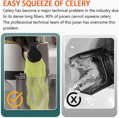 Winning Star Juicer Extractor | Limited stocks available