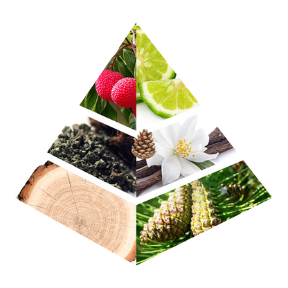 Mystique Noir - CH001-KYAMSTORE