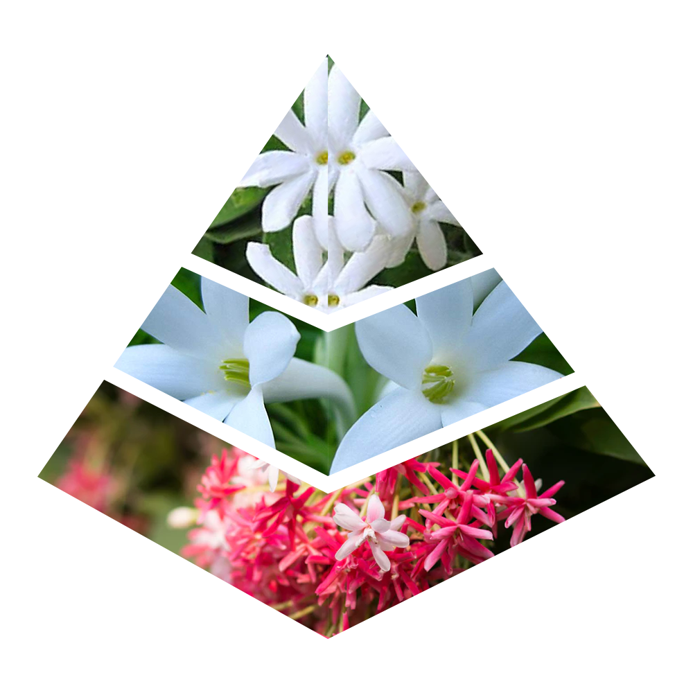 Floressence - CH004-KYAMSTORE