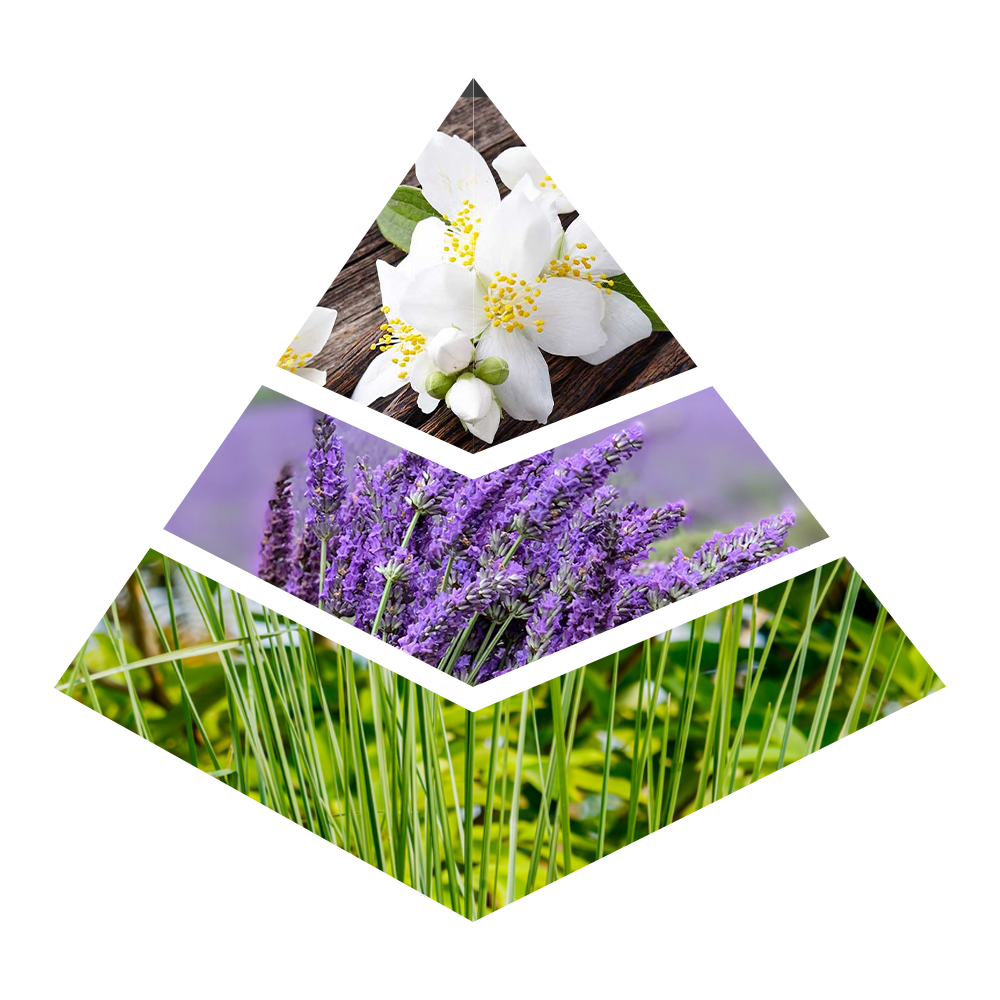 Jade Black - CH007-KYAMSTORE