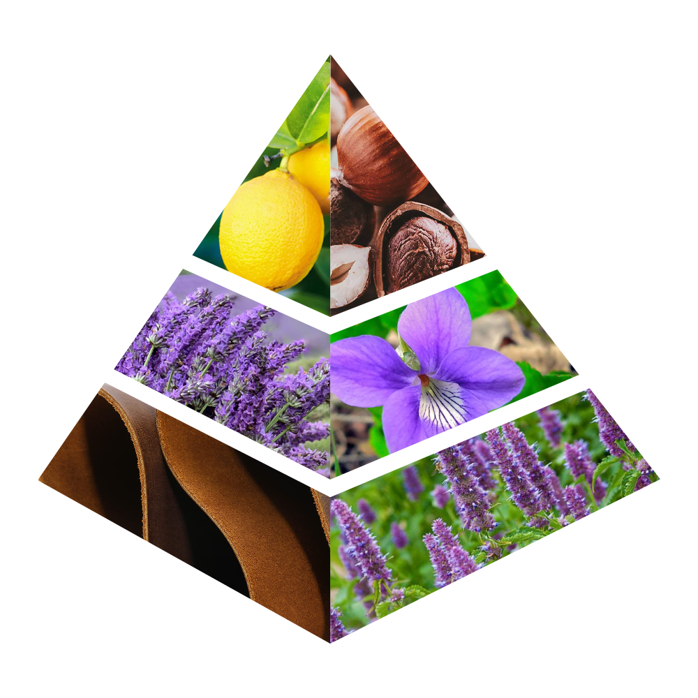 Al Maha - CH013-KYAMSTORE