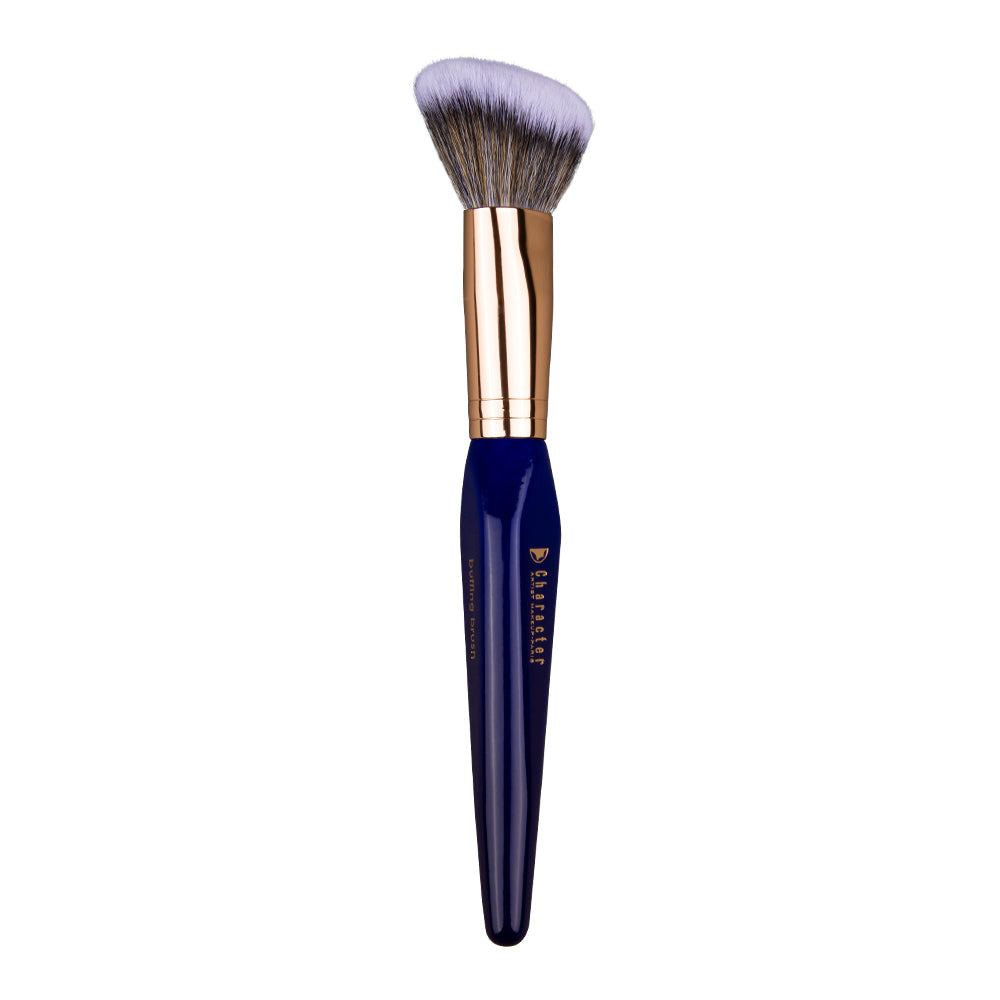Character 15 Pieces Brush Set - CHX002-KYAMSTORE