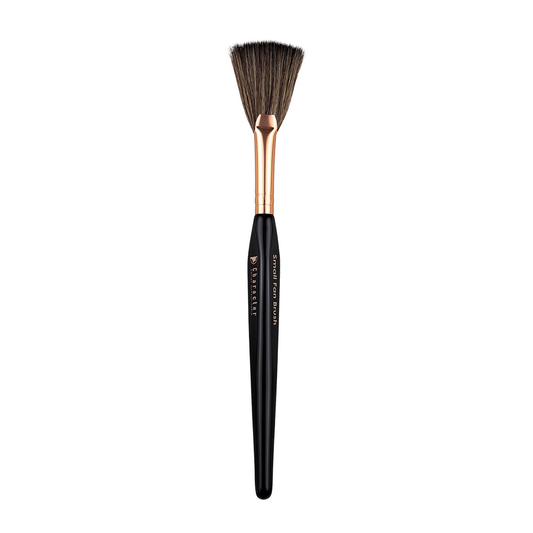 Character Small Fan Brush - CSX004-KYAMSTORE