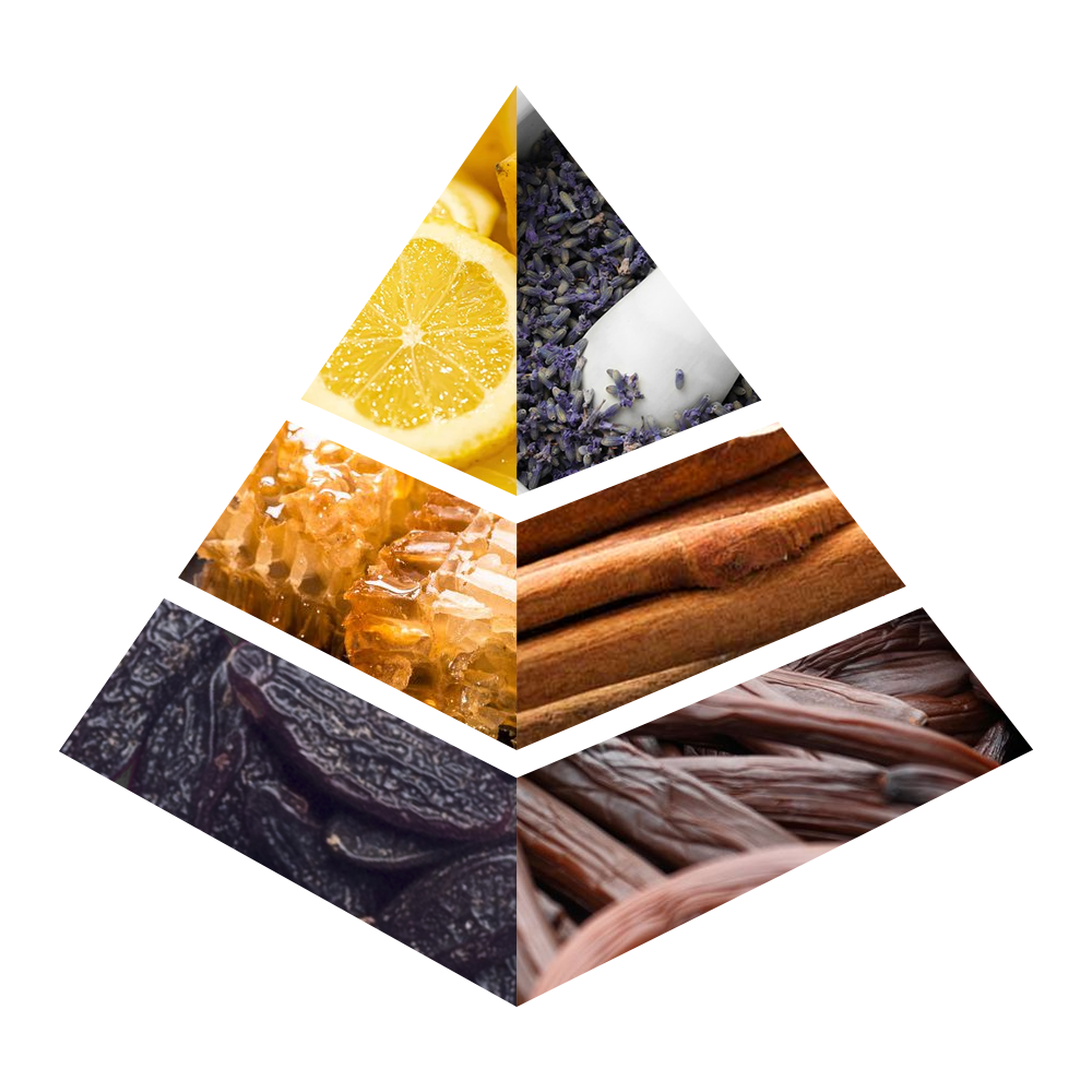 Fresh Spicy - JC001-KYAMSTORE