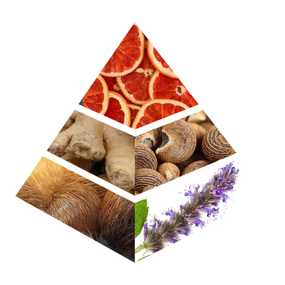 French Style - JC002-KYAMSTORE