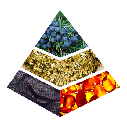 Oriental Amber - JC003-KYAMSTORE