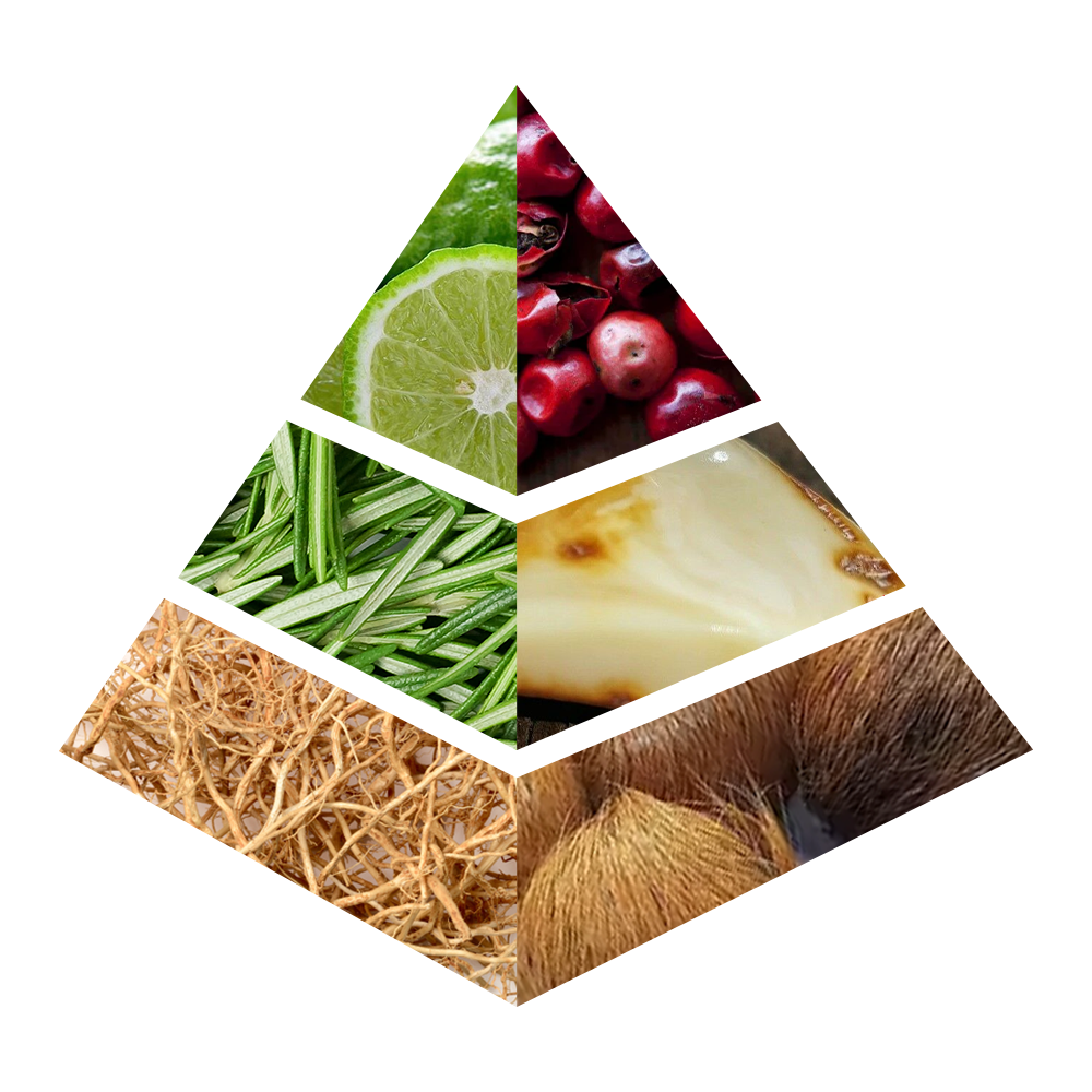 White Amber - JC005-KYAMSTORE