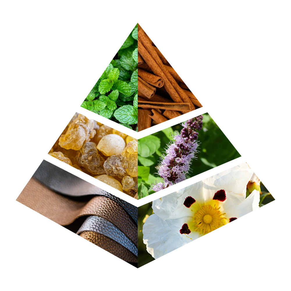 Citrine - JC007-KYAMSTORE