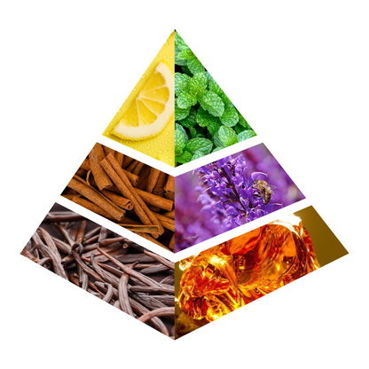 Nurture - JC008-KYAMSTORE