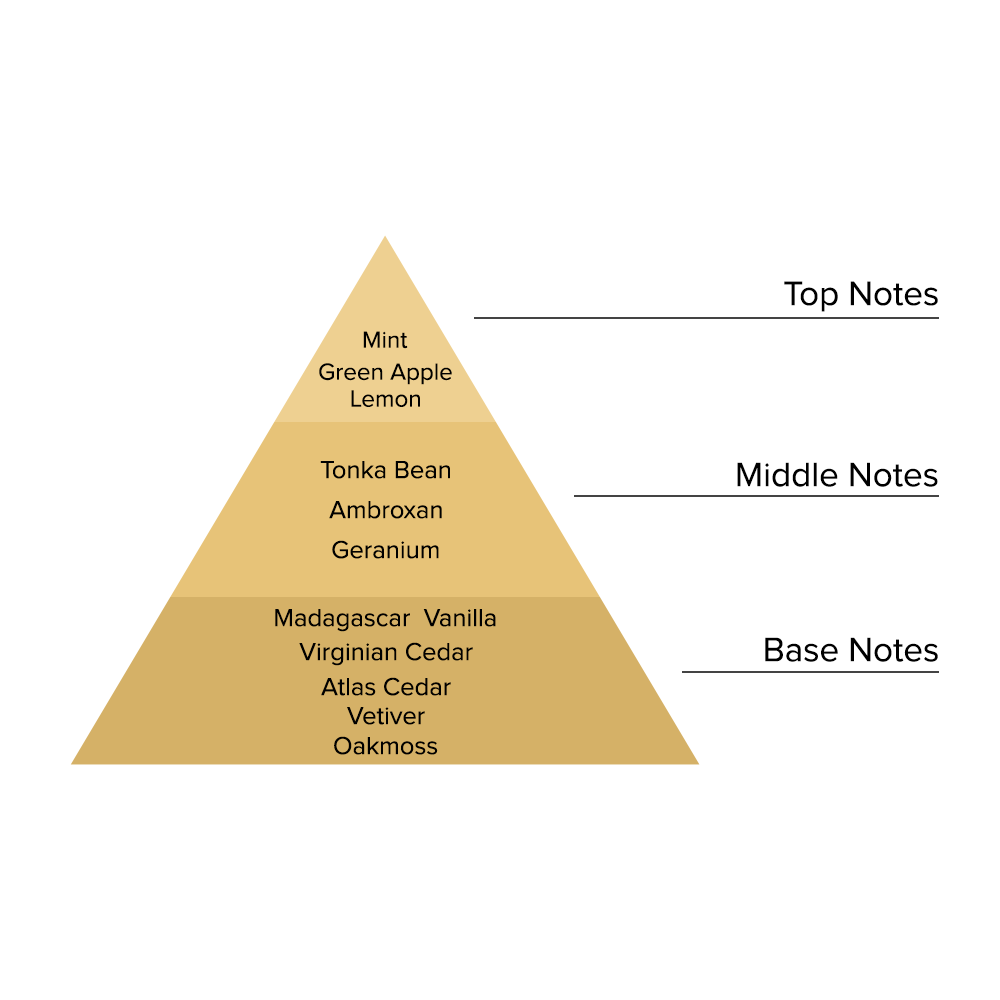 Amber Wood - JC011-KYAMSTORE