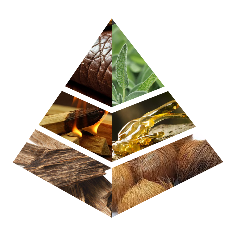 Wanasa - MA002-KYAMSTORE