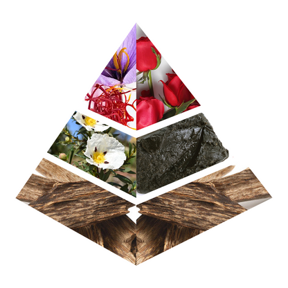 Ghazal - MA003-KYAMSTORE