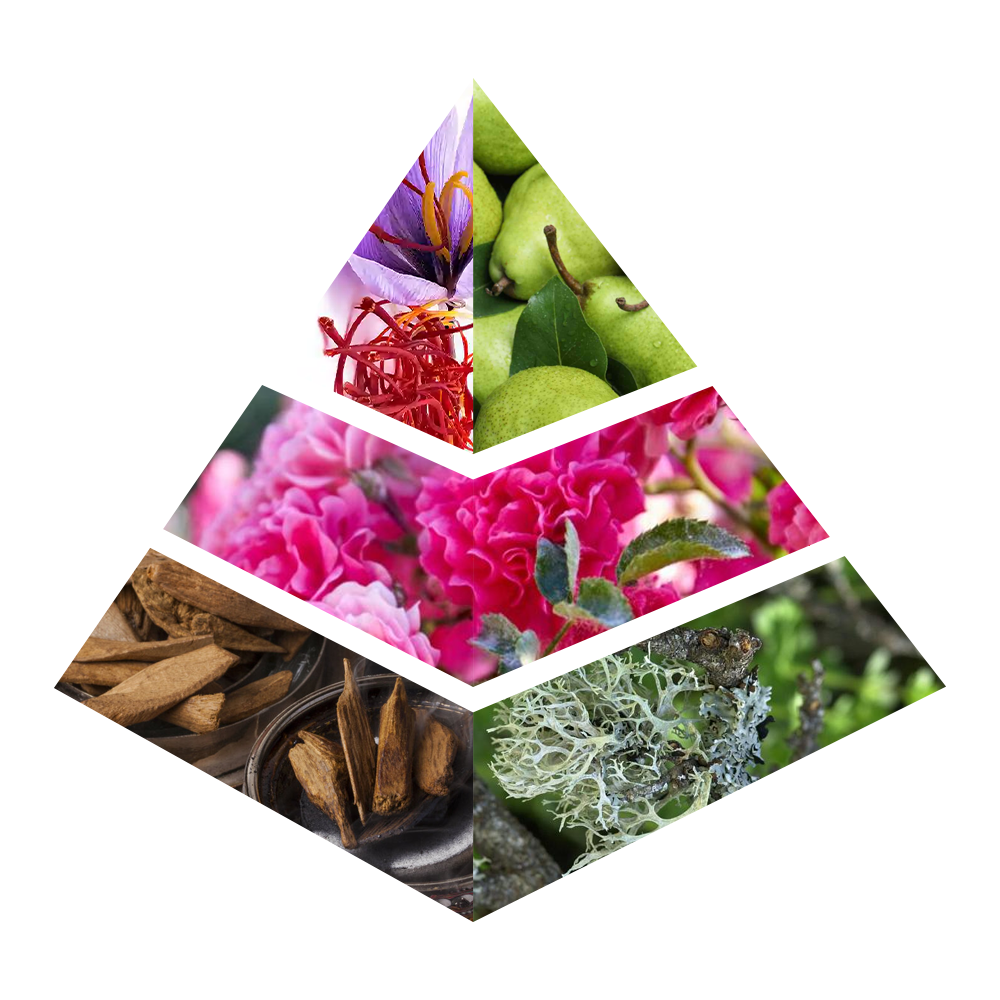 Molook - MA006-KYAMSTORE