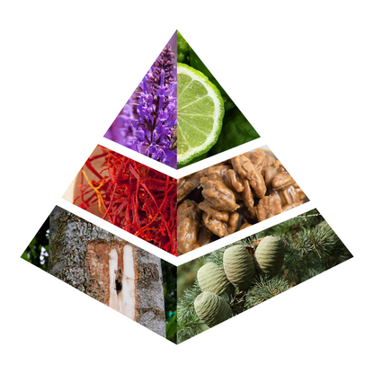 Omsiya - MA007-KYAMSTORE