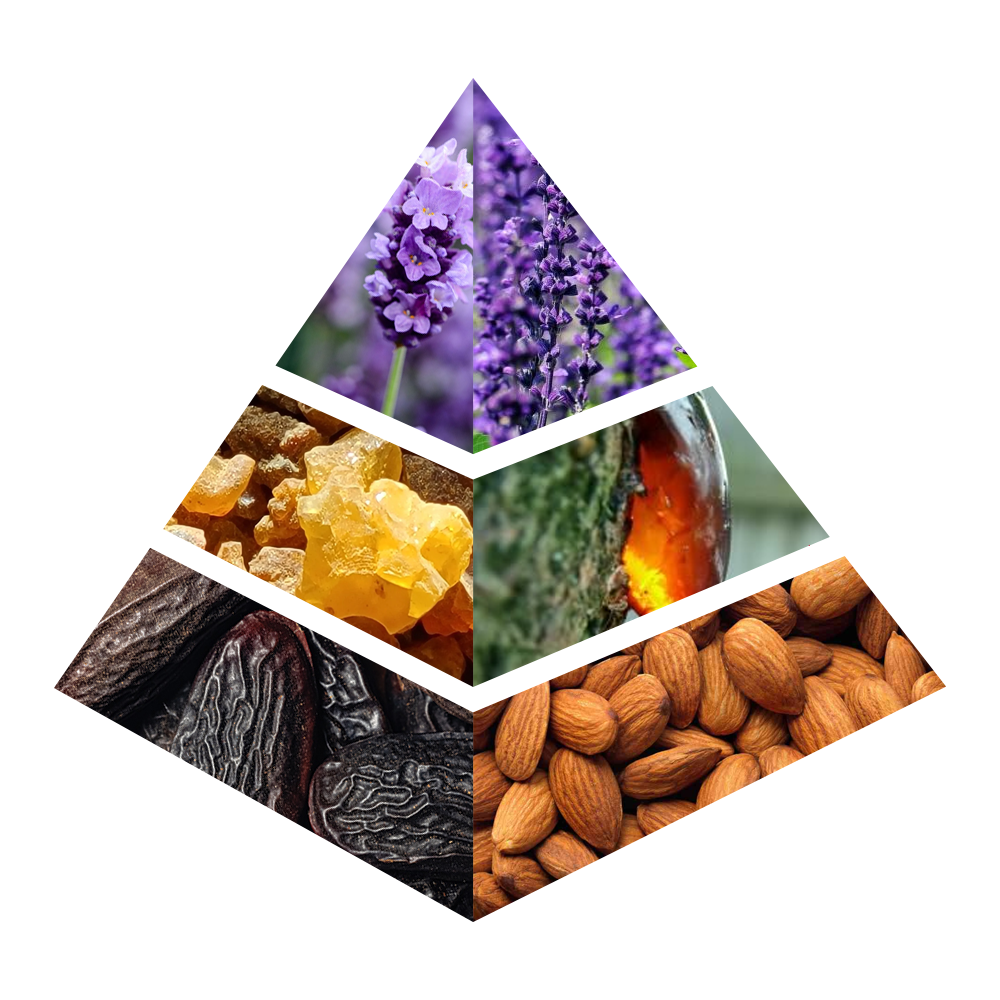 Khayal - MA010-KYAMSTORE