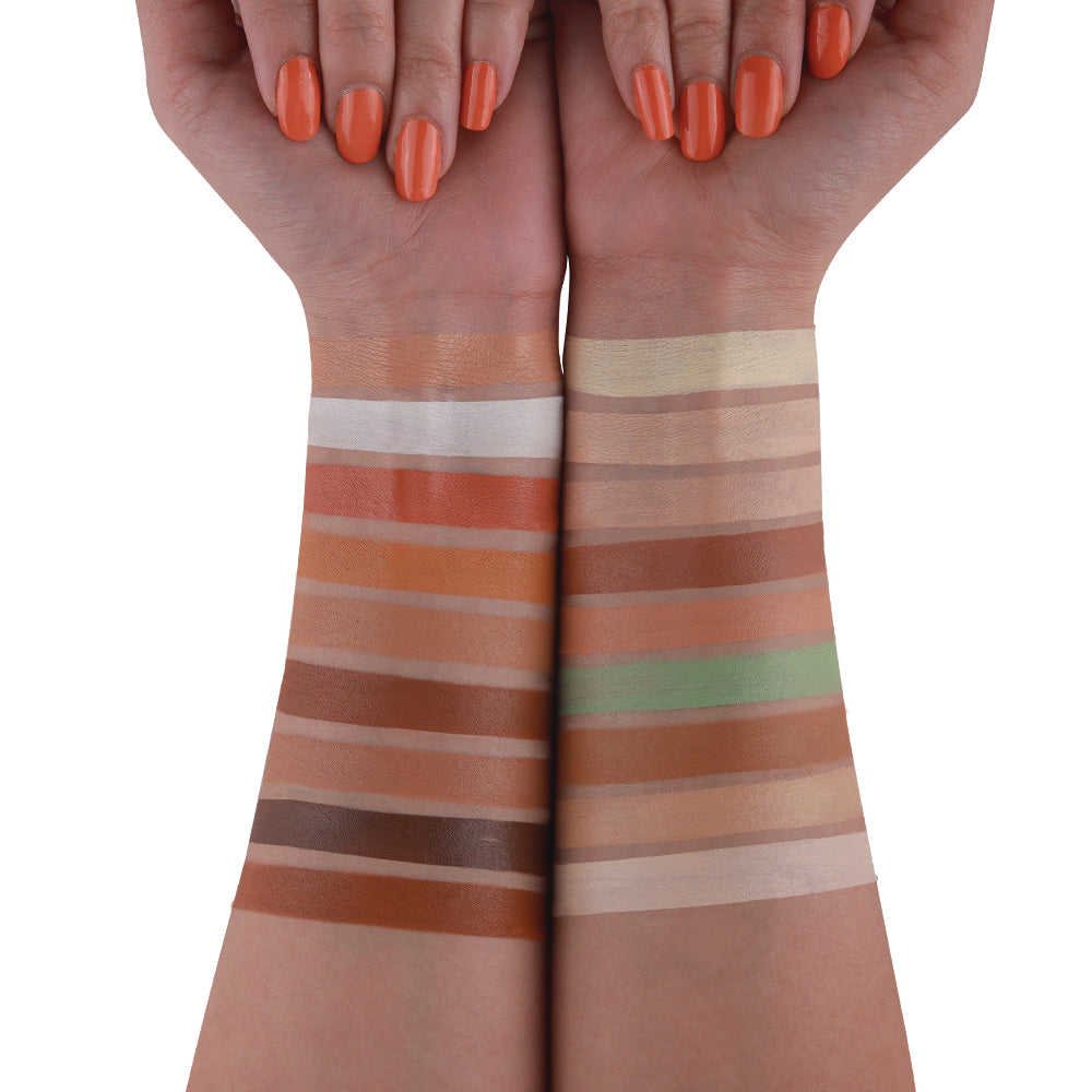 Pro Artist Multitasker Corrector Palette-KYAMSTORE