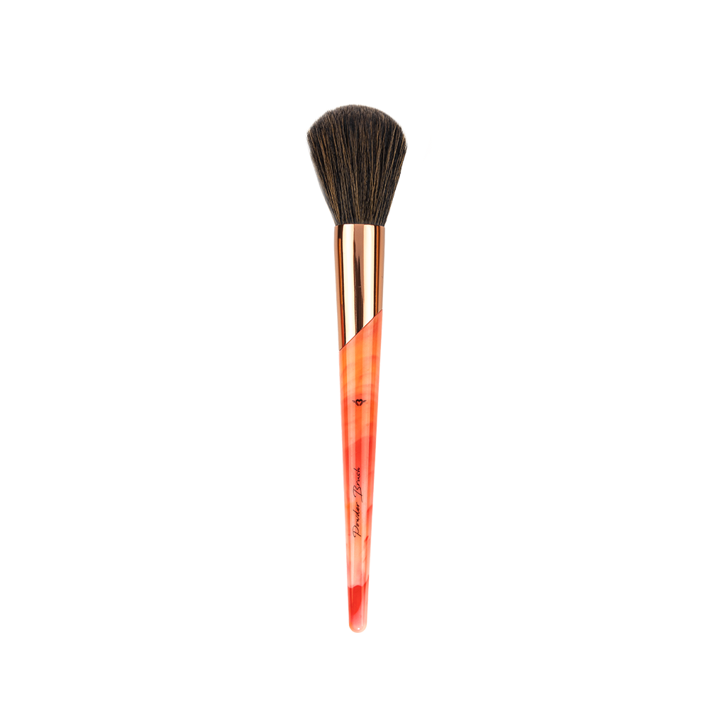 Professional Artist Coral 11 Pieces Brush Set - XZ011-KYAMSTORE