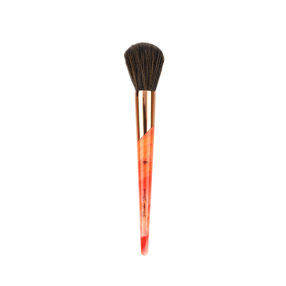 Professional Artist Coral 11 Pieces Brush Set - XZ011-KYAMSTORE