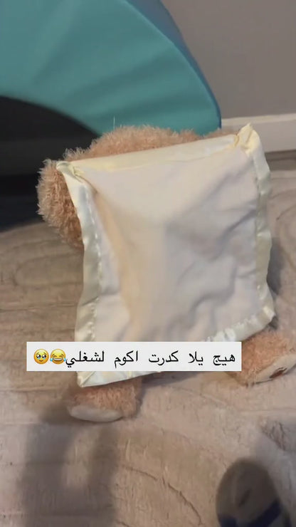 Peek-A-Boo Teddy Bear Animated Stuffed Animal Plush
