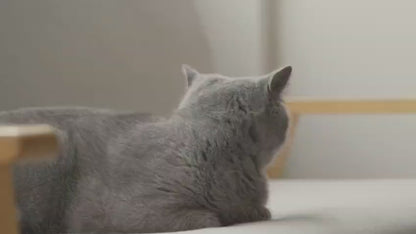 رف تجفيف الملابس القابل للطي والمصنوع من الفولاذ المقاوم للصدأ عالي التحمل مع قضبان ثلاثية قابلة للتعديل